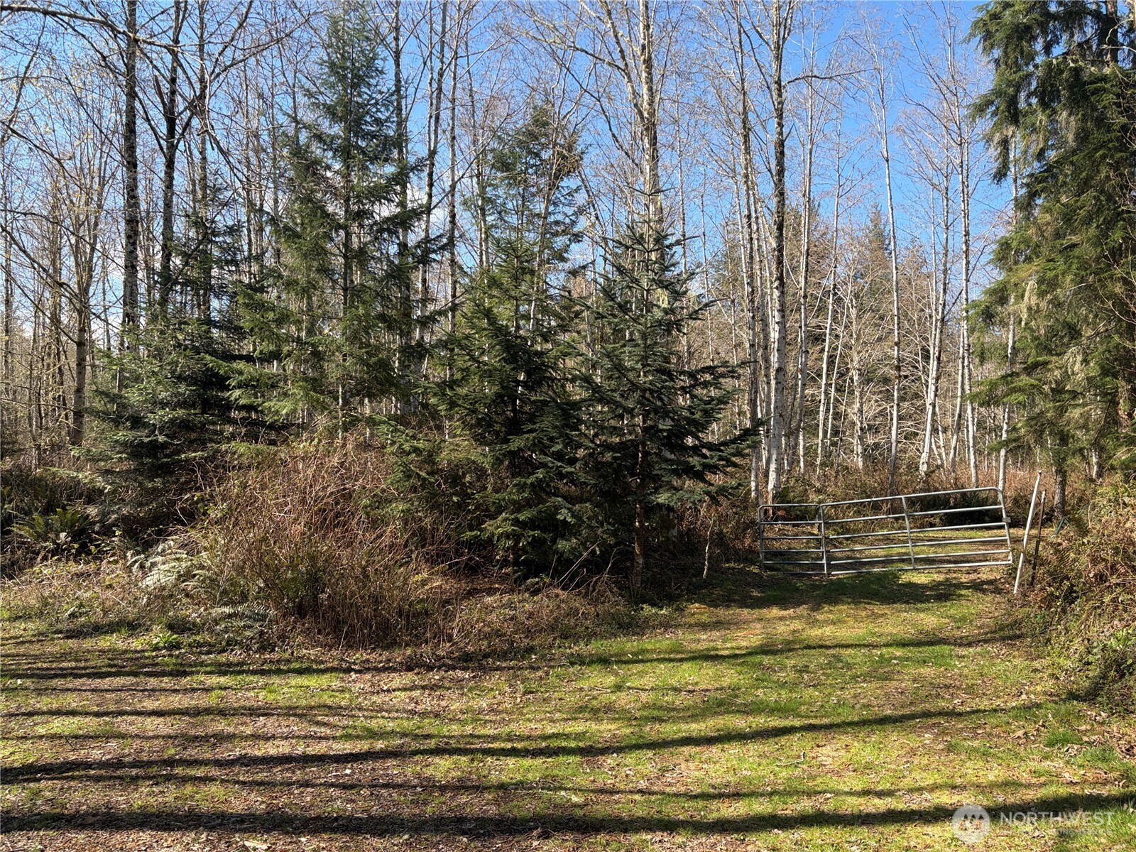 1 Xxxx Blacktail Court Property Photo 8