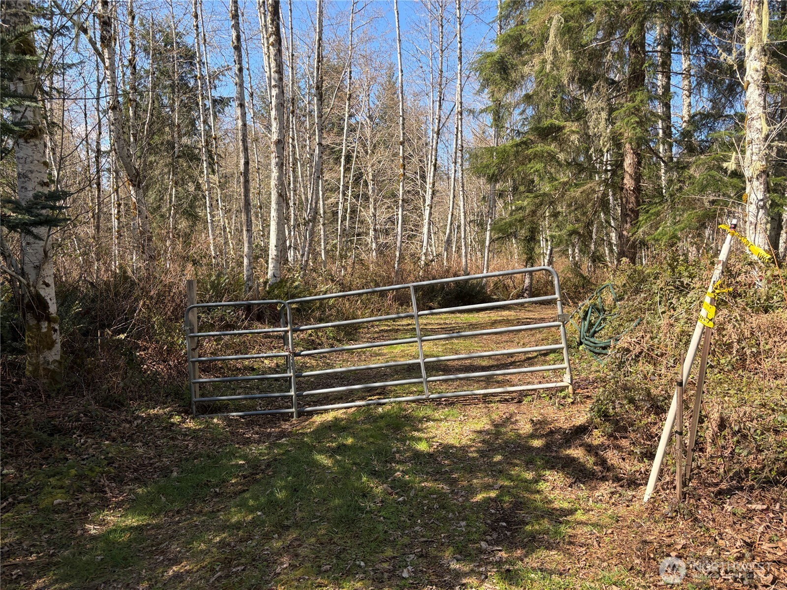 1 Xxxx Blacktail Court Property Photo 9