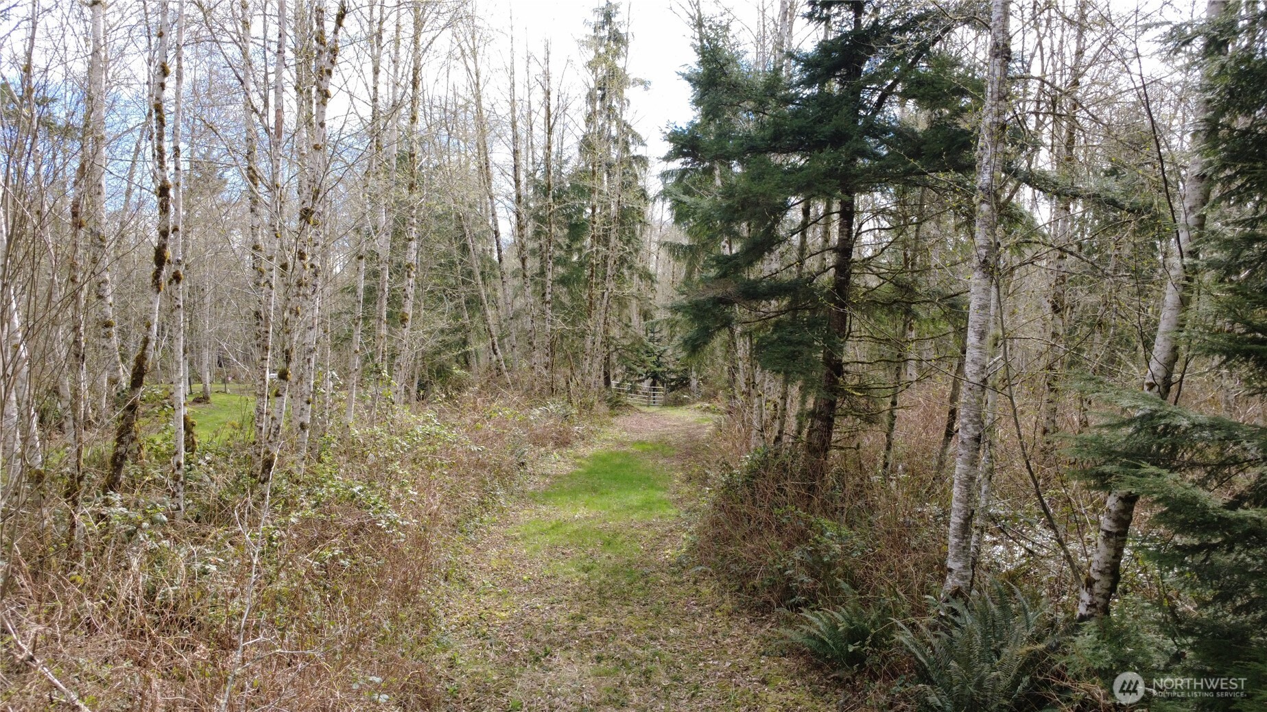 1 Xxxx Blacktail Court Property Photo 10