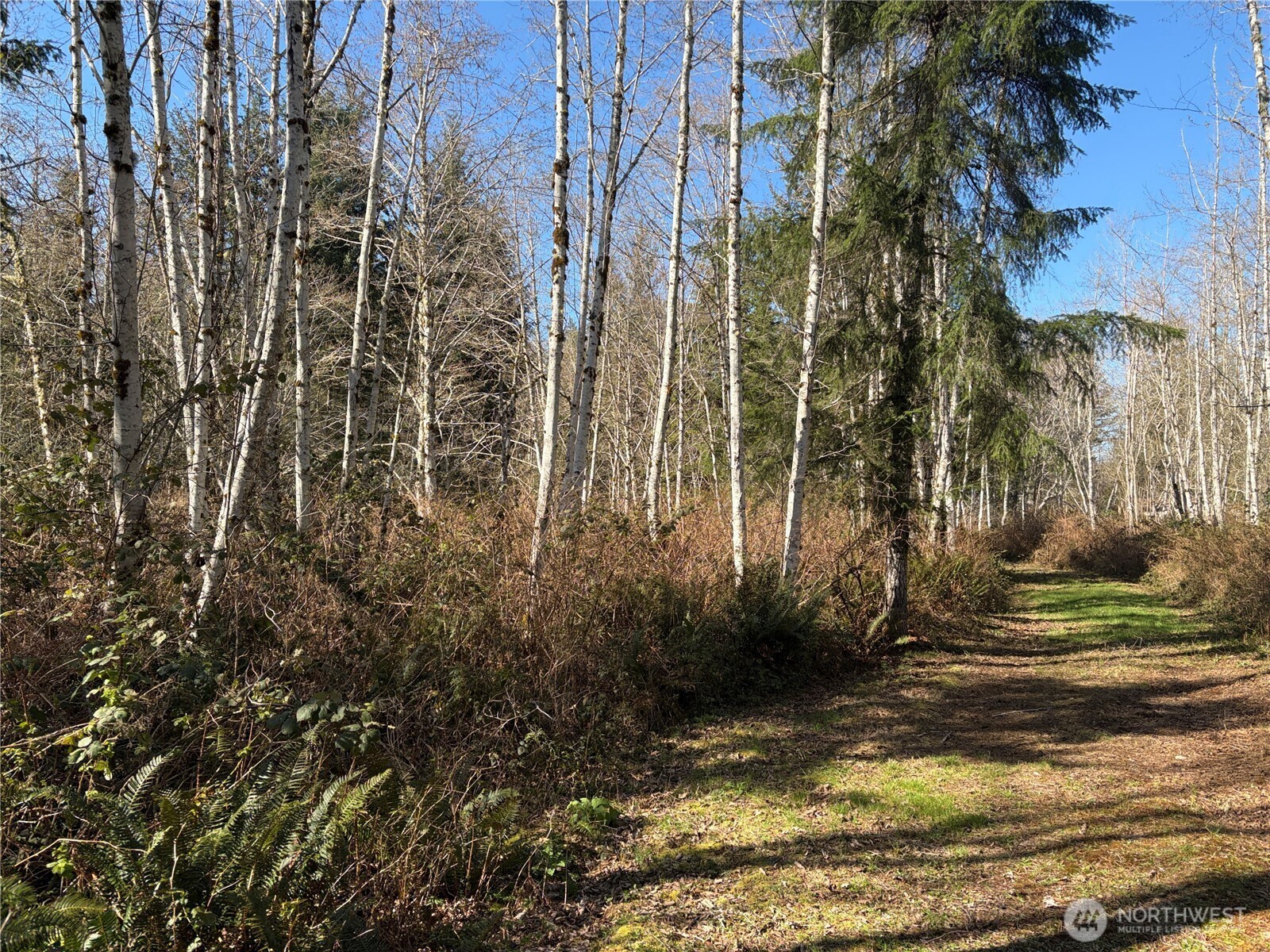 1 Xxxx Blacktail Court Property Photo 11