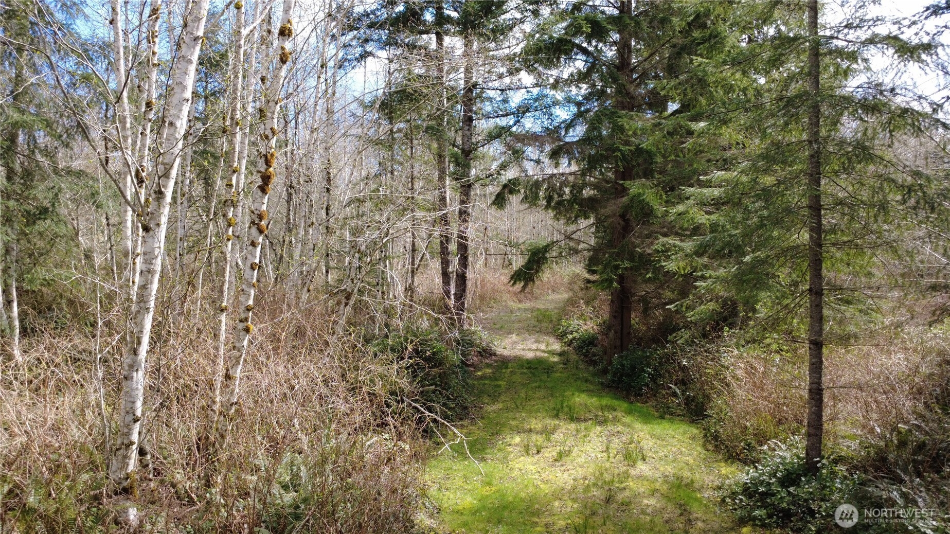 1 Xxxx Blacktail Court Property Photo 12