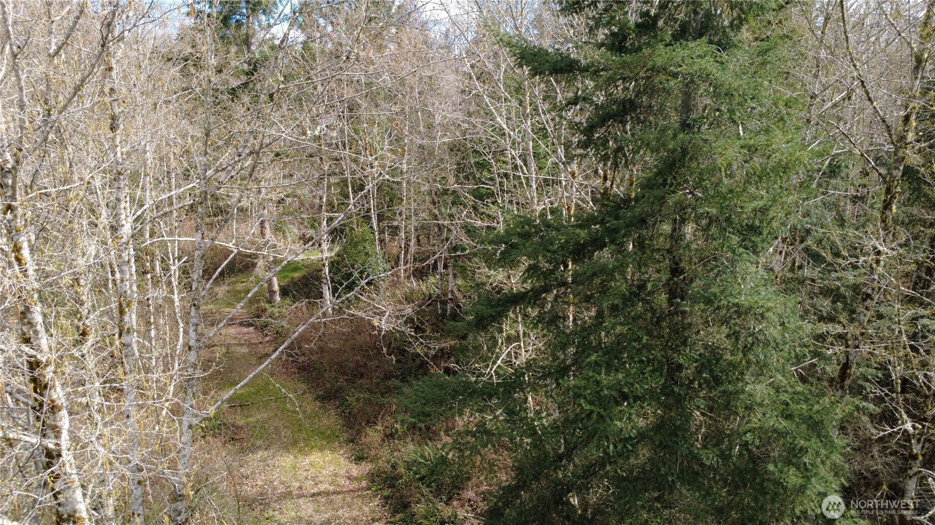 1 Xxxx Blacktail Court Property Photo 13