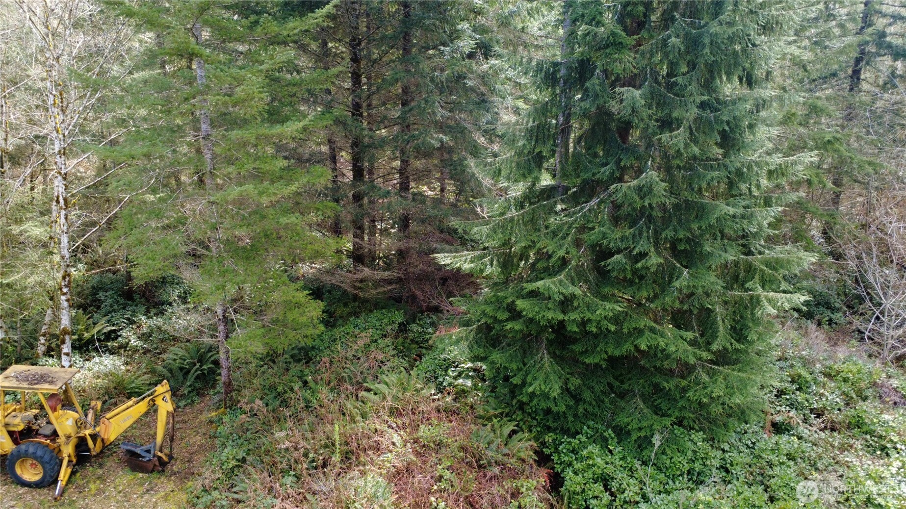 1 Xxxx Blacktail Court Property Photo 14