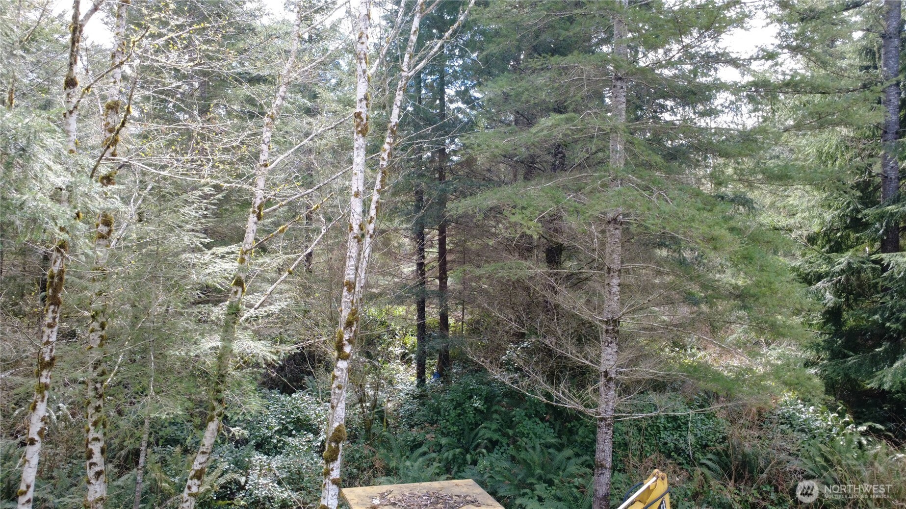 1 Xxxx Blacktail Court Property Photo 15