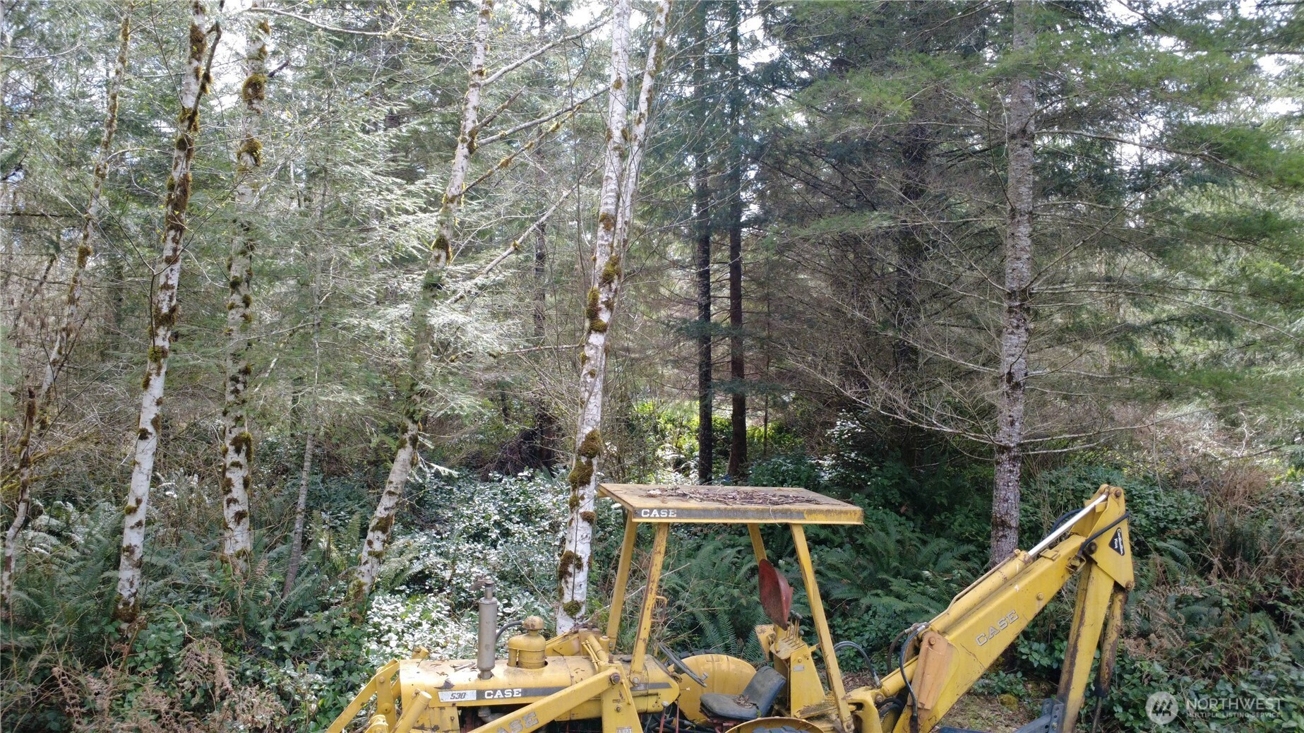 1 Xxxx Blacktail Court Property Photo 16