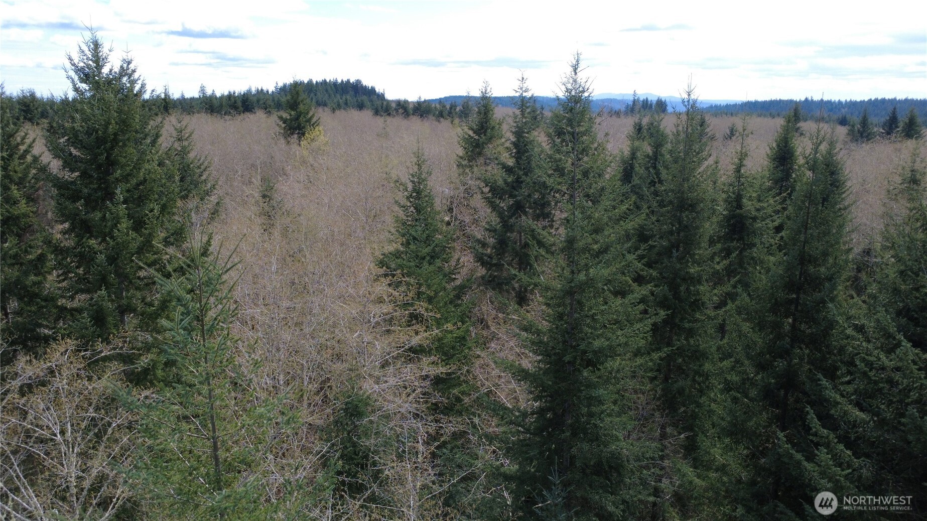 1 Xxxx Blacktail Court Property Photo 17