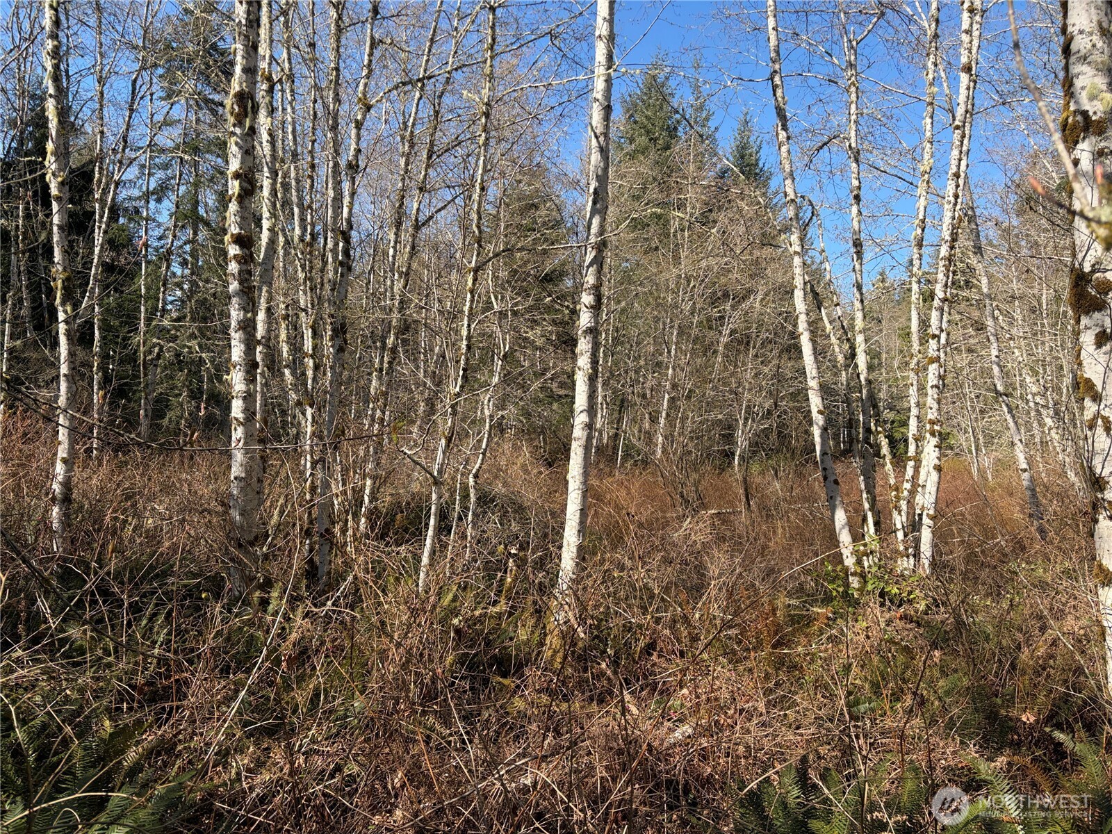 1 Xxxx Blacktail Court Property Photo 18