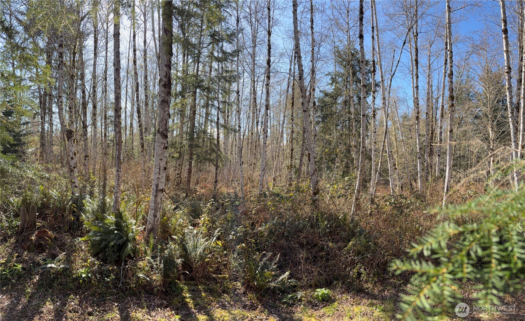 1 Xxxx Blacktail Court Property Photo 19