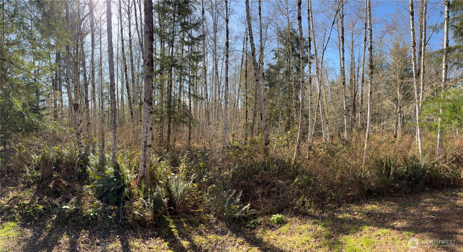 1 Xxxx Blacktail Court Property Photo 20
