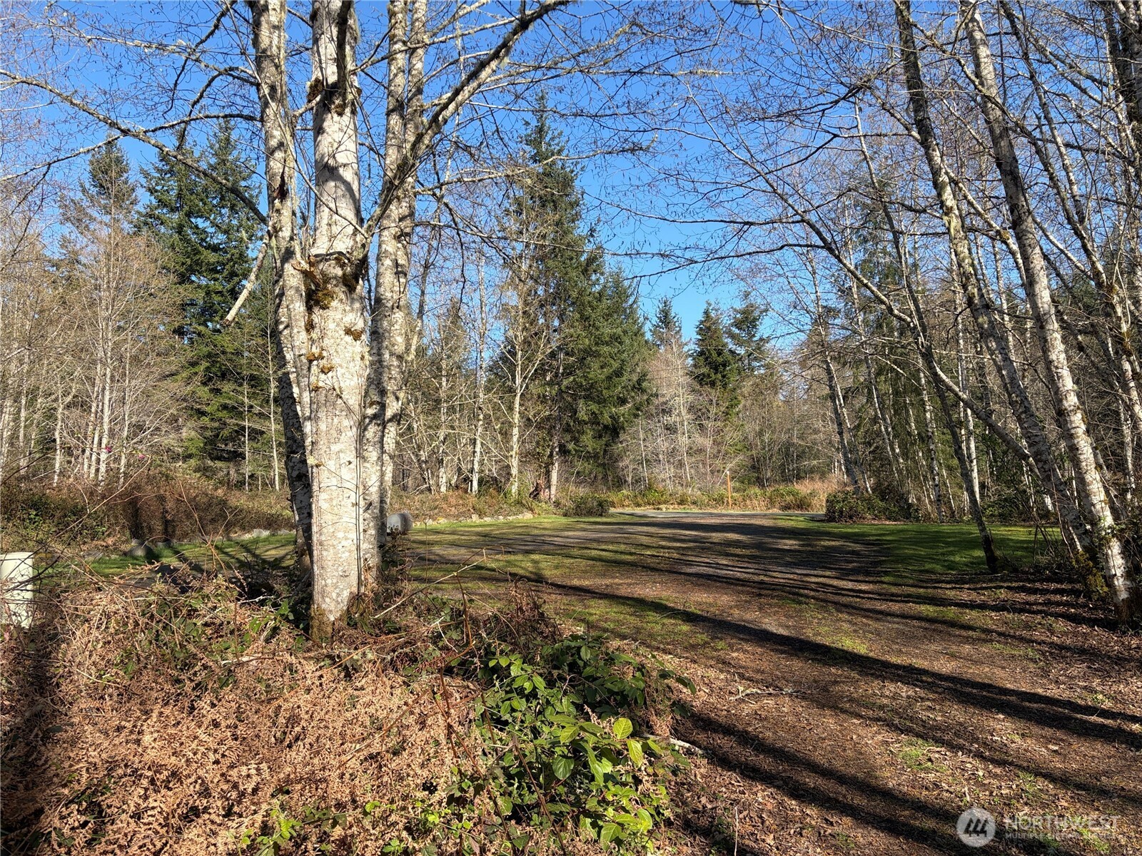 1 Xxxx Blacktail Court Property Photo 21