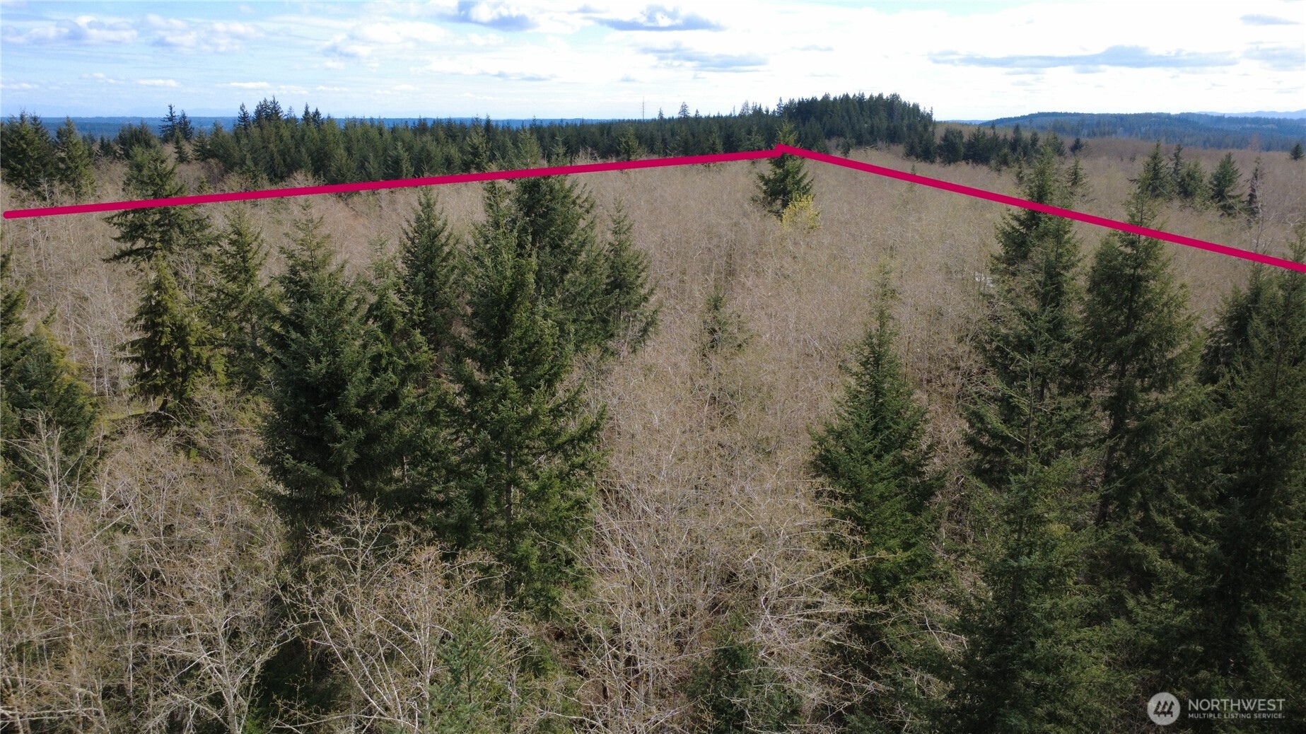 1 Xxxx Blacktail Court Property Photo 23