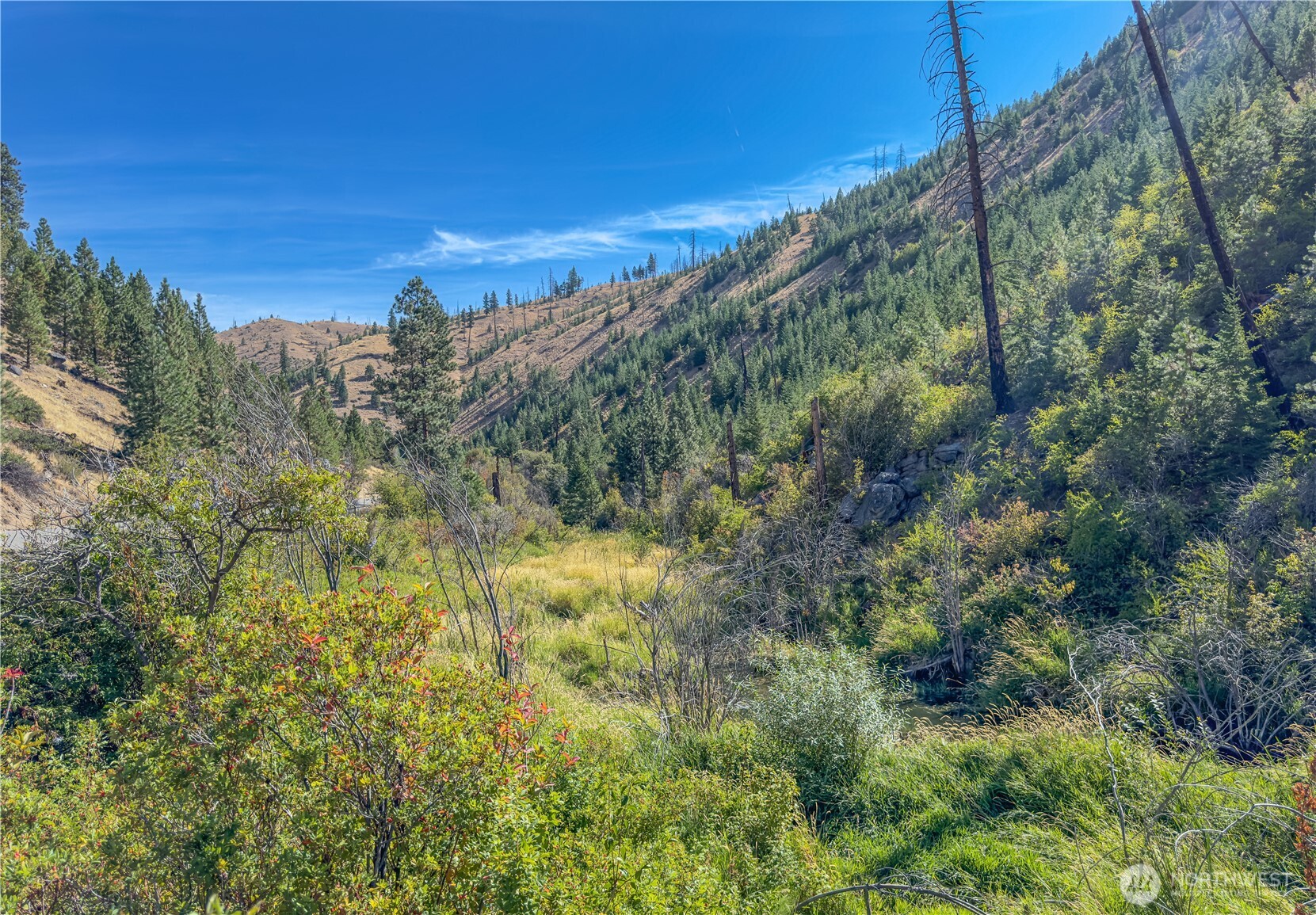 10558 Mud Creek Road Property Photo 4