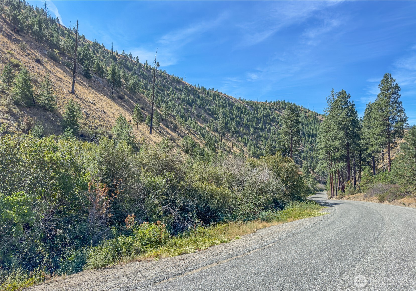 10558 Mud Creek Road Property Photo 5