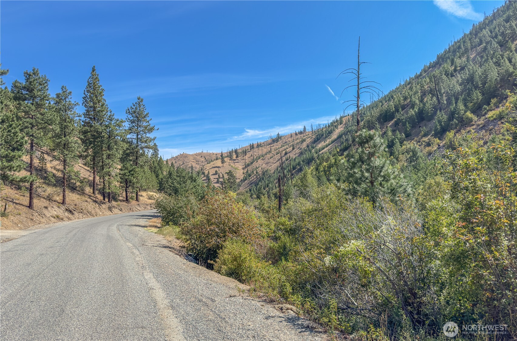 10558 Mud Creek Road Property Photo 6