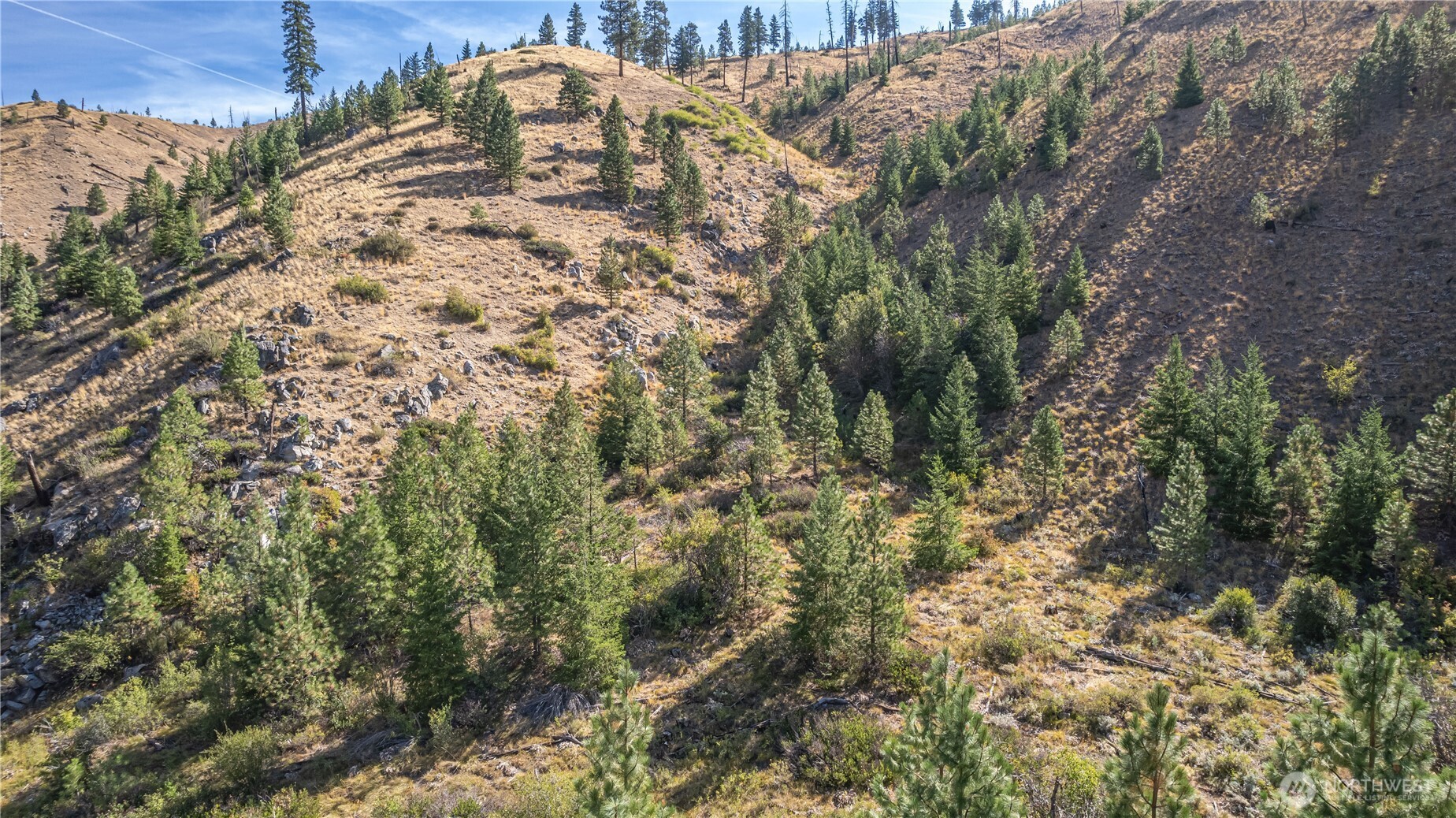 10558 Mud Creek Road Property Photo 12