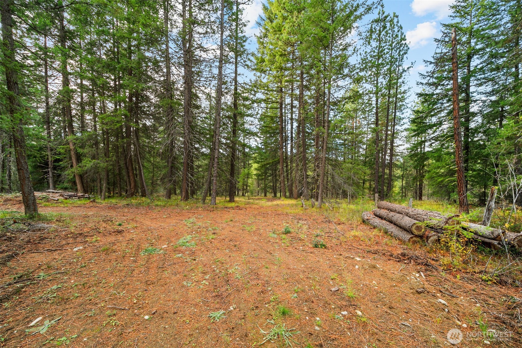 0 S Shugart Flats Road Property Photo 3