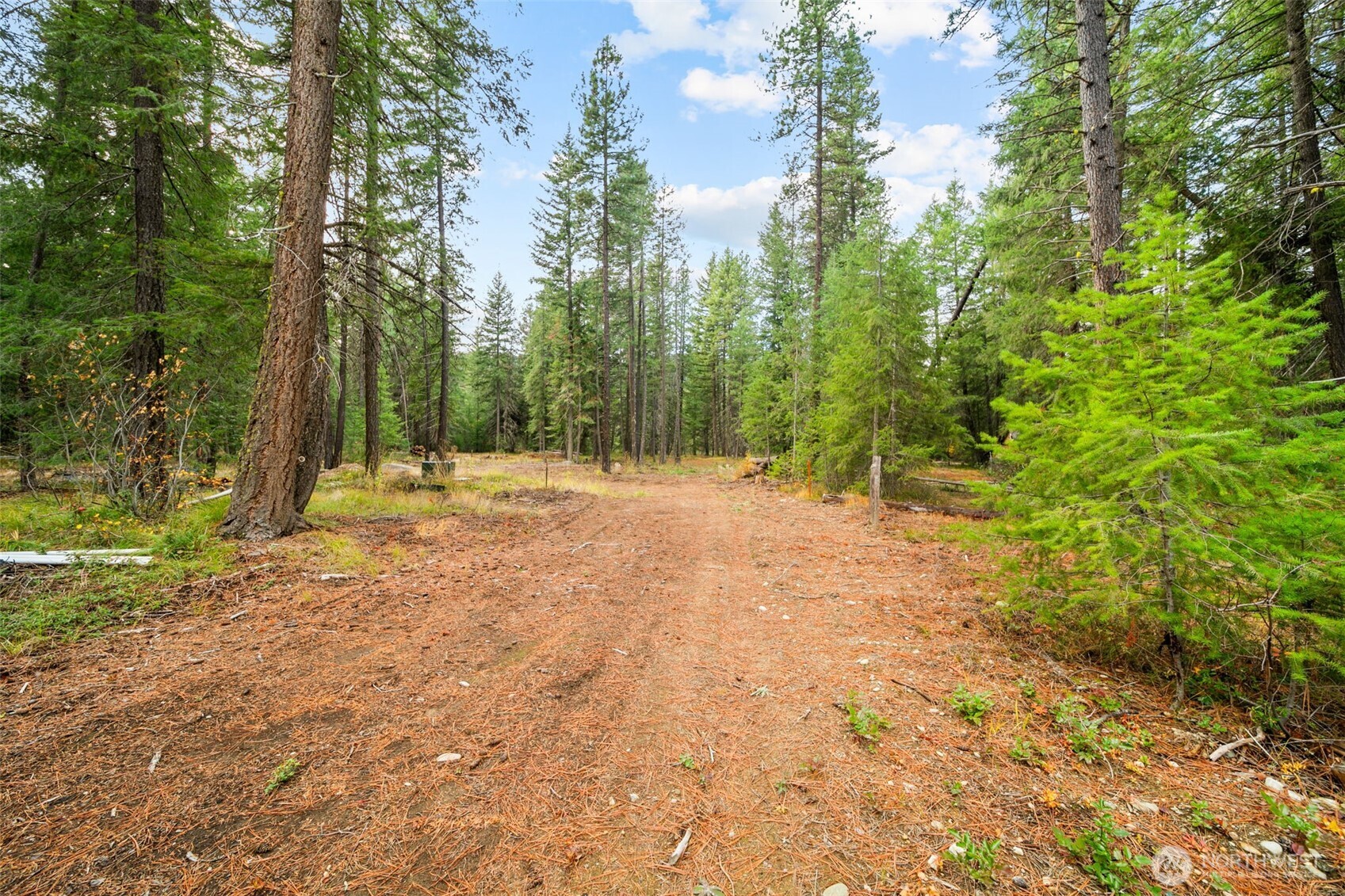 0 S Shugart Flats Road Property Photo 4