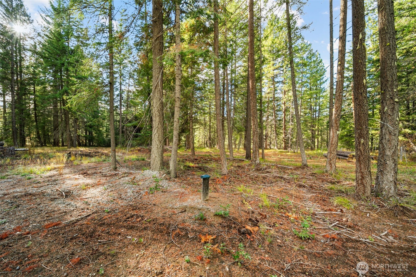 0 S Shugart Flats Road Property Photo 19