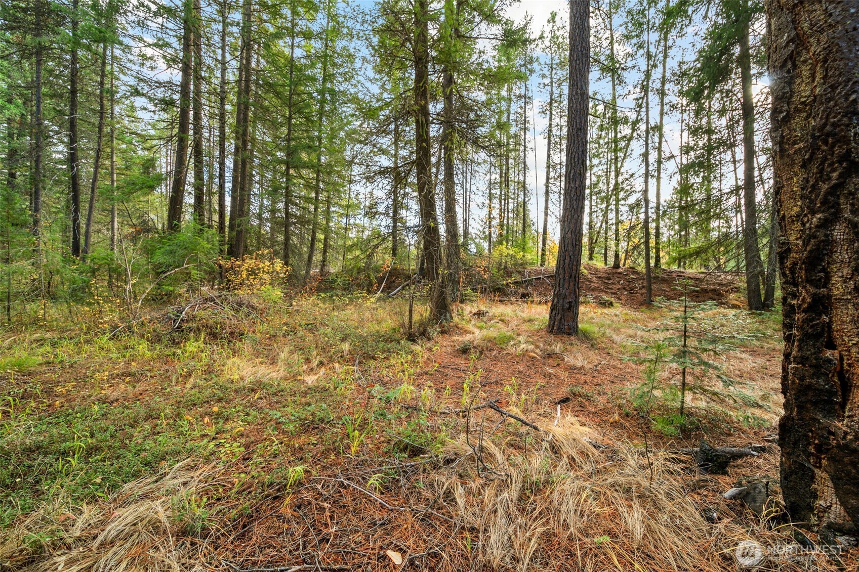 0 S Shugart Flats Road Property Photo 25