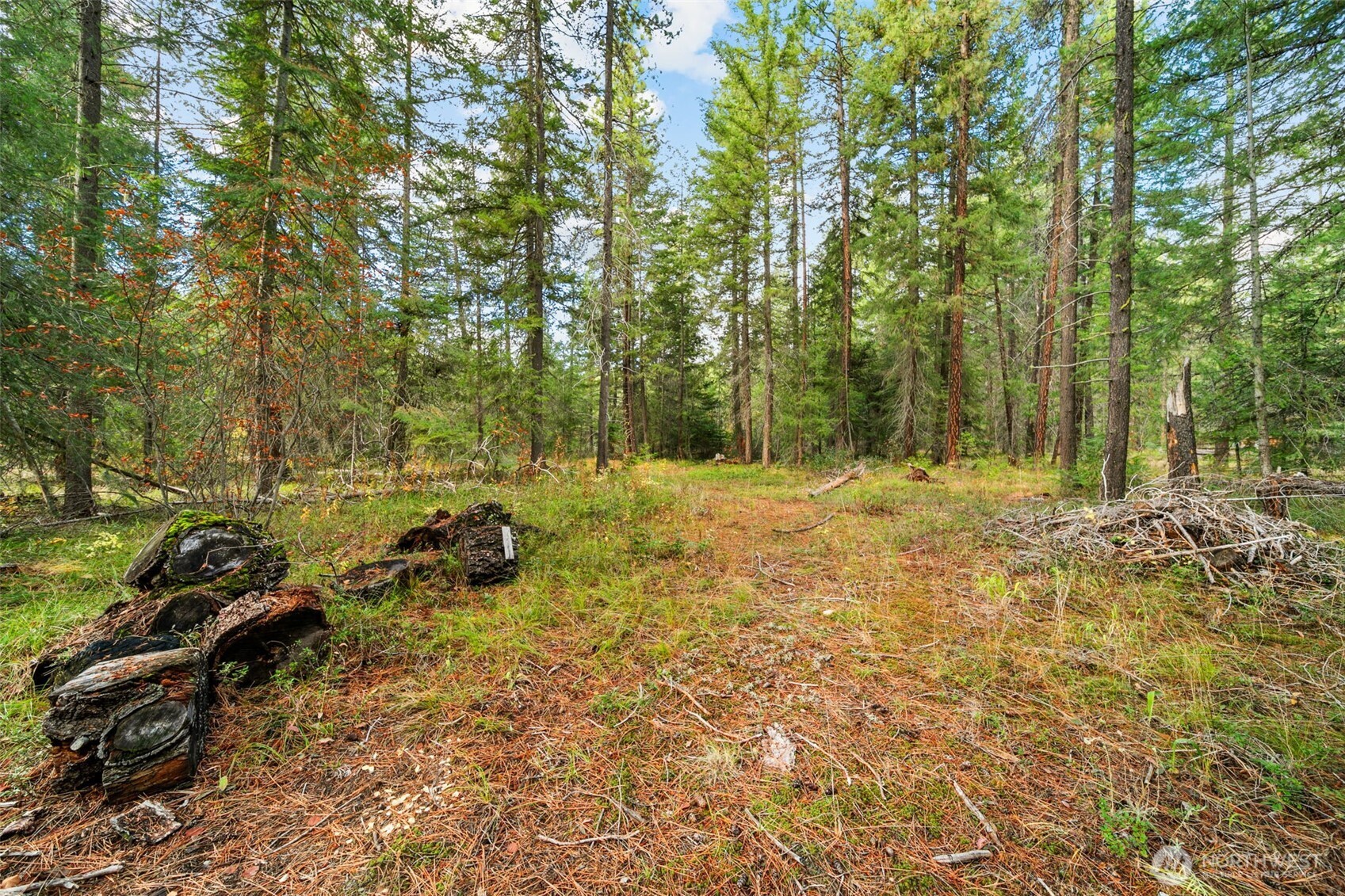 0 S Shugart Flats Road Property Photo 34