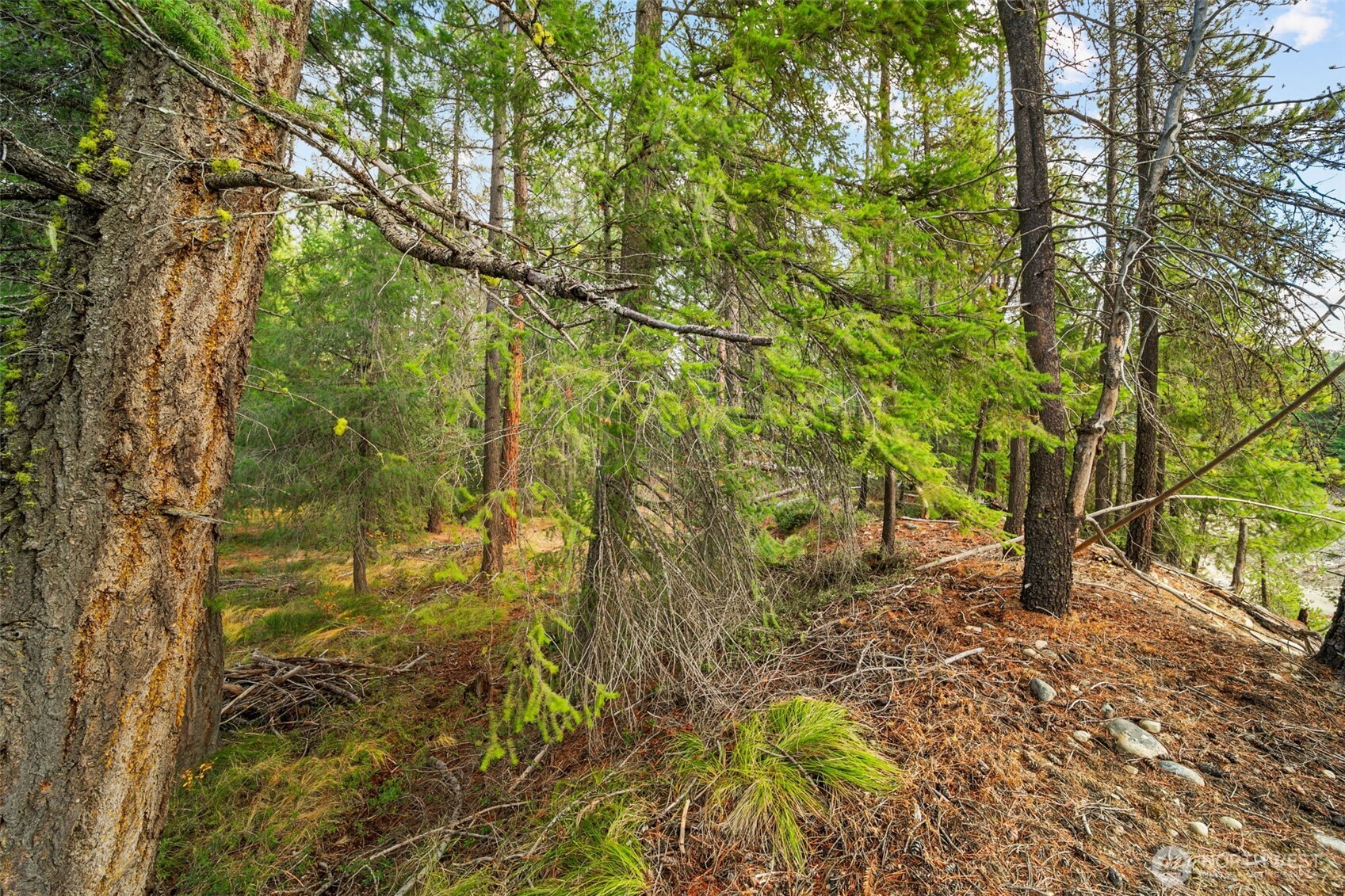 0 S Shugart Flats Road Property Photo 36