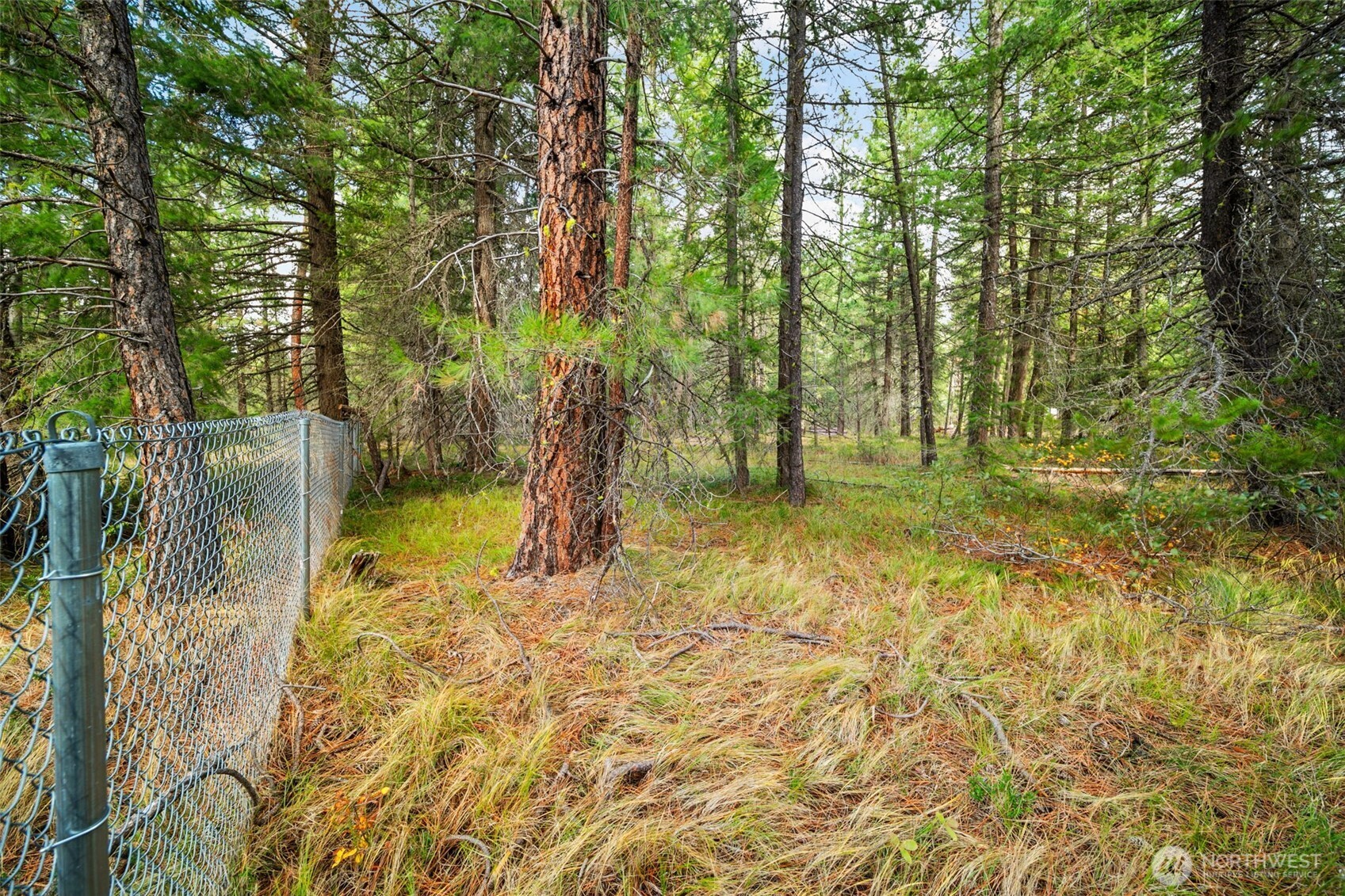 0 S Shugart Flats Road Property Photo 37