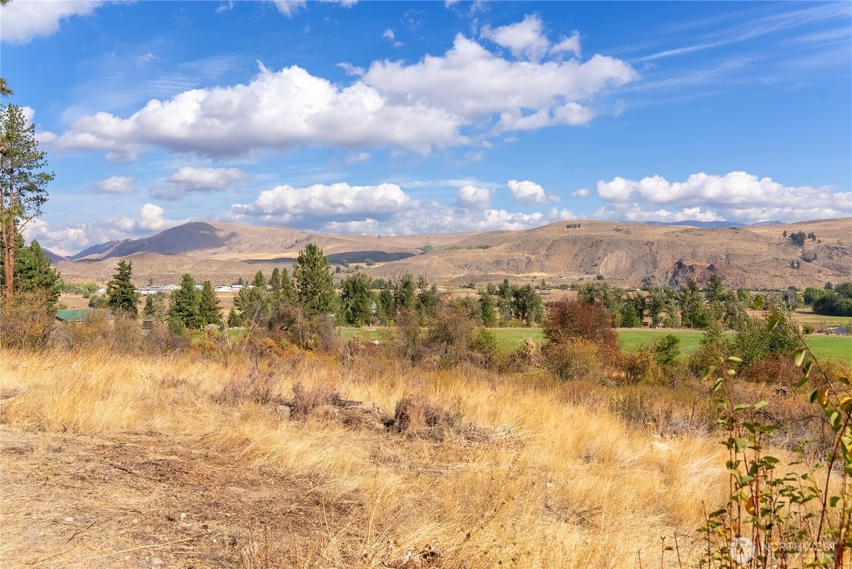 803 C Twisp Carlton Road 98856 Property Photo 6