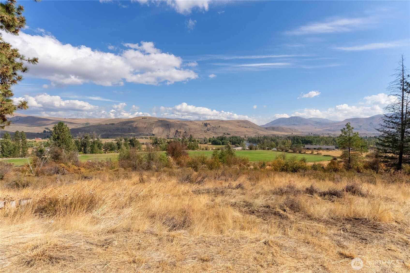 803 C Twisp Carlton Road 98856 Property Photo 13