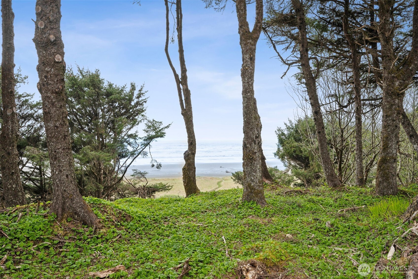 47295 State Route 109 Property Photo 11
