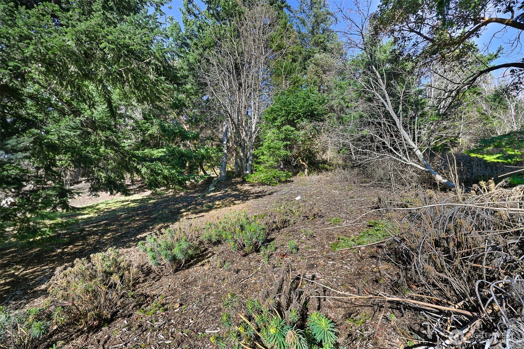405 Arbutus Place Property Photo 5