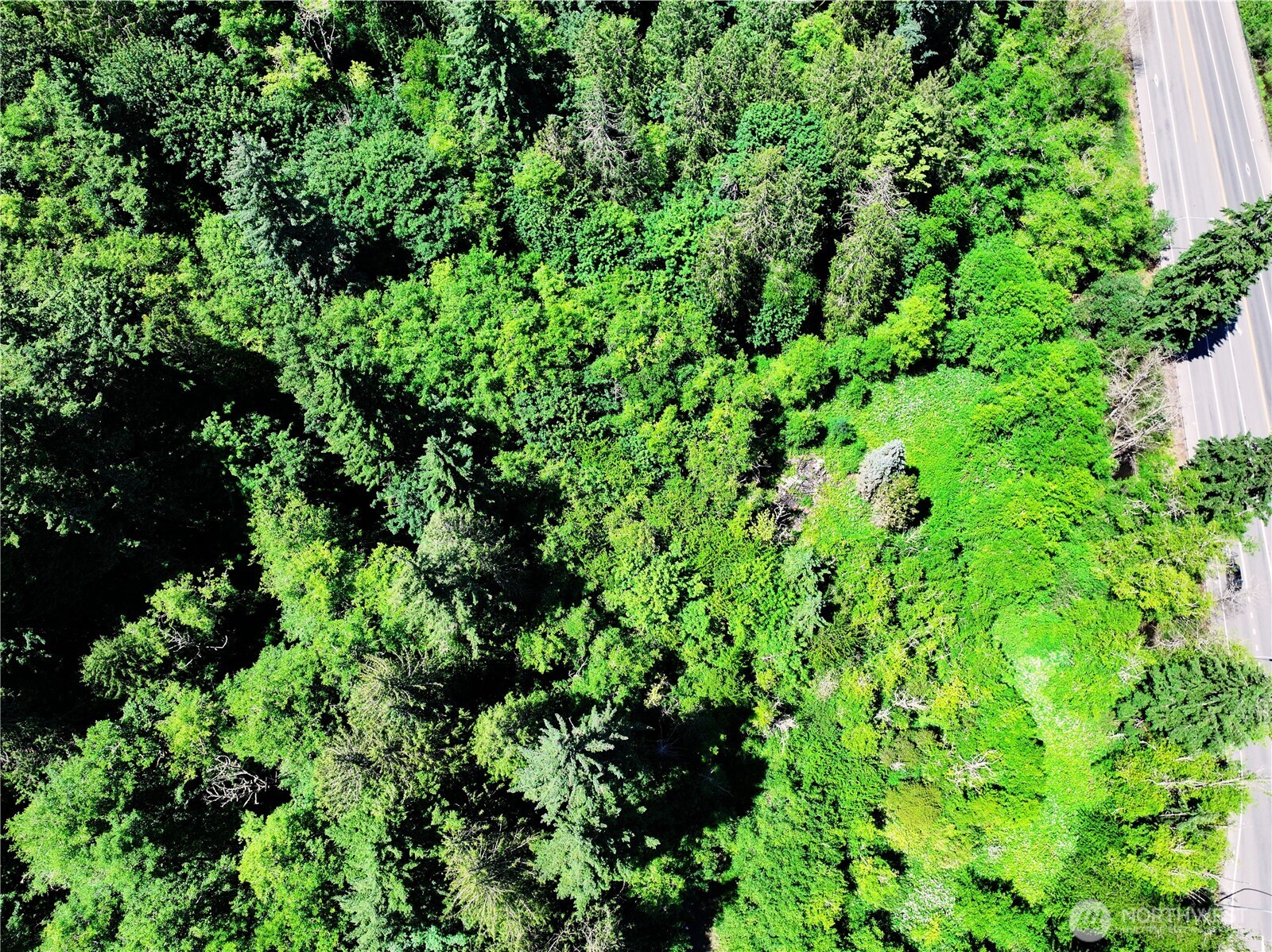 20249 State Route 305 Property Photo 8
