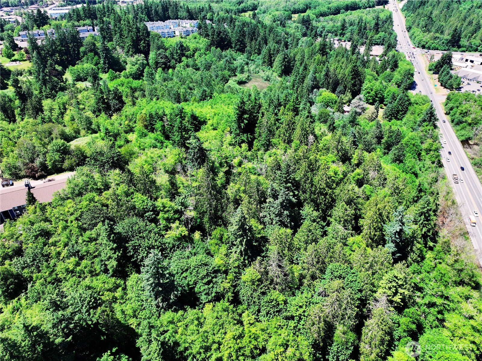 20249 State Route 305 Property Photo 9