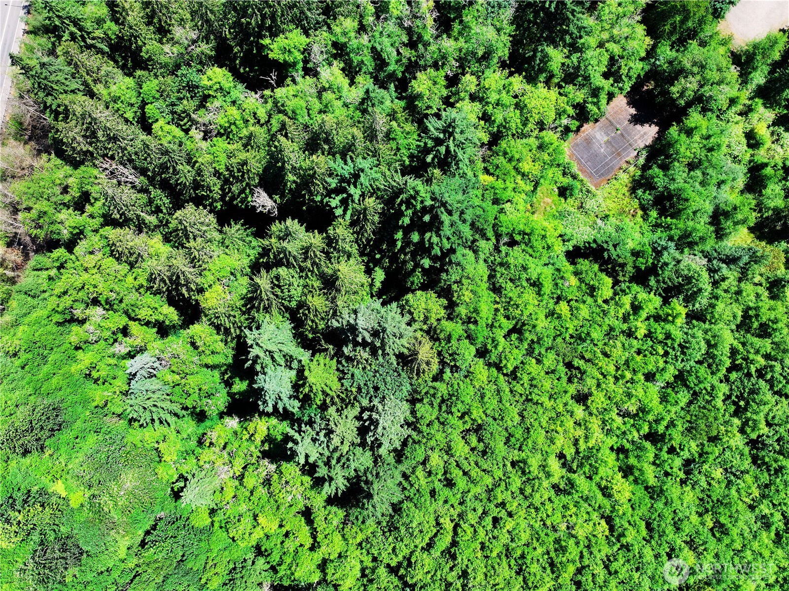 20249 State Route 305 Property Photo 13