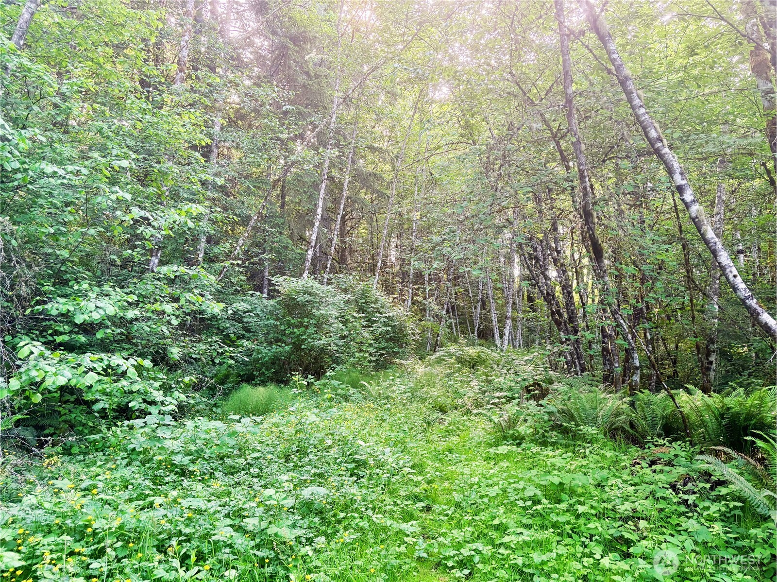 20249 State Route 305 Property Photo 15