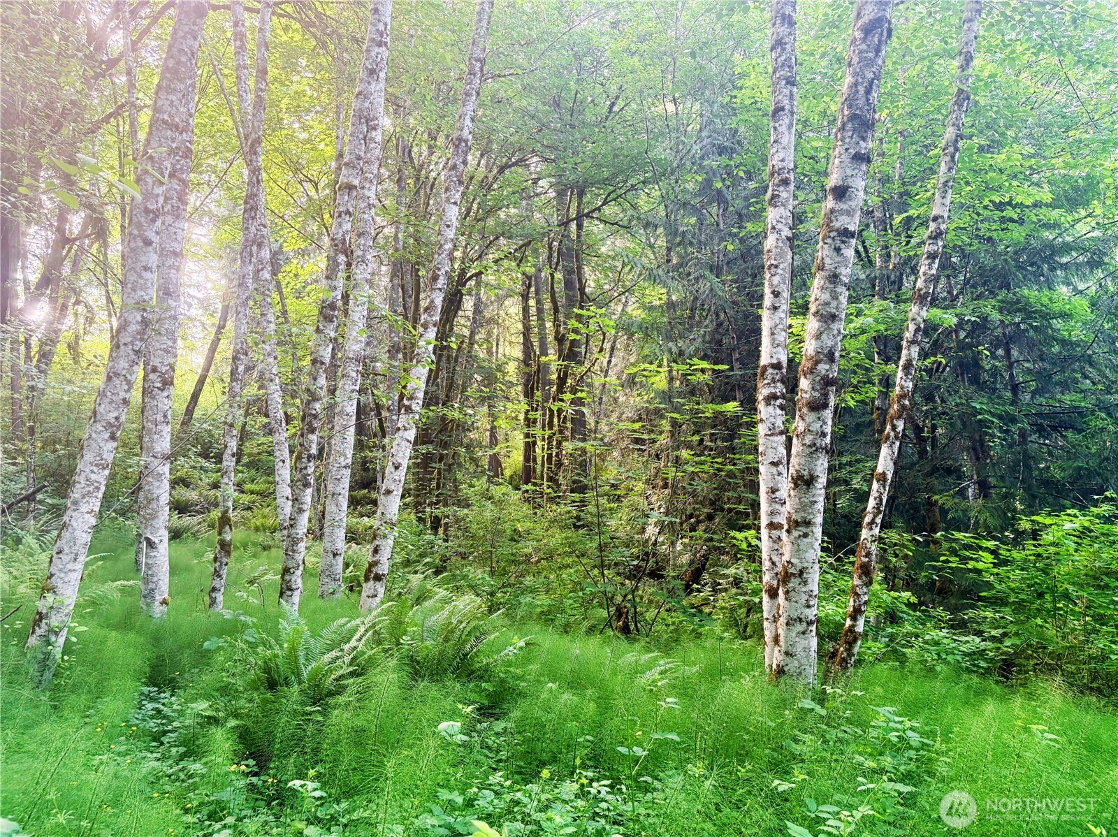 20249 State Route 305 Property Photo 16