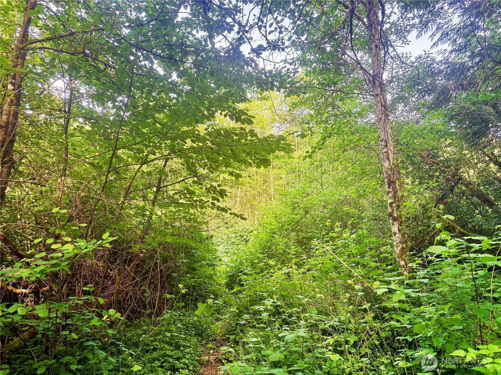 20249 State Route 305 Property Photo 17