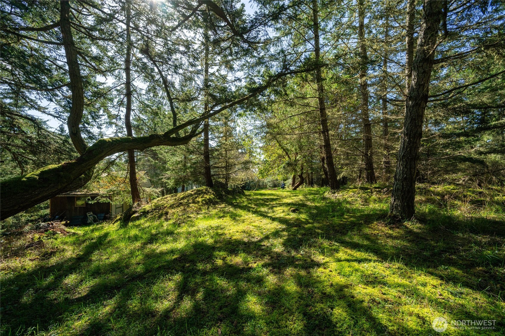 391 Little Mountain Road Property Photo 37