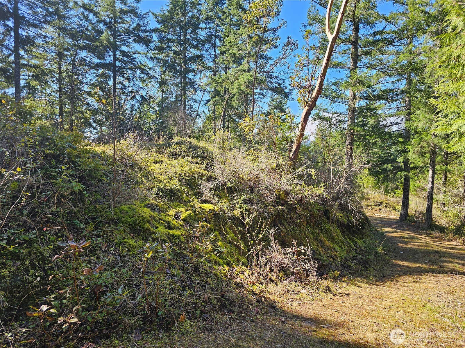 753 Jupiter Loop Property Photo 15