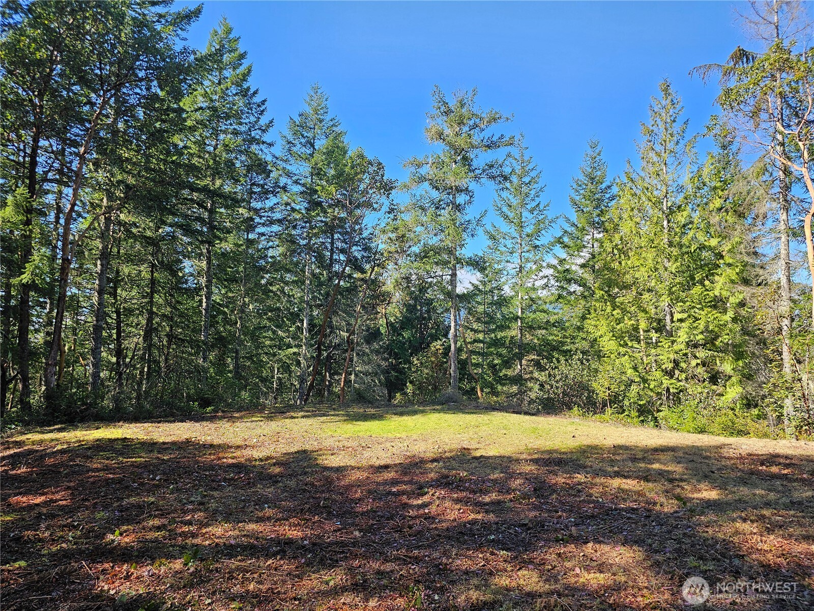 753 Jupiter Loop Property Photo 16