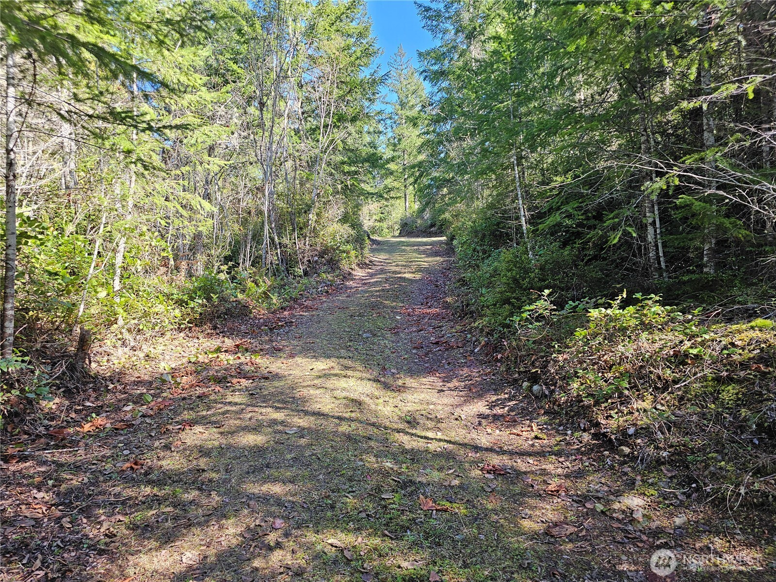 753 Jupiter Loop Property Photo 17