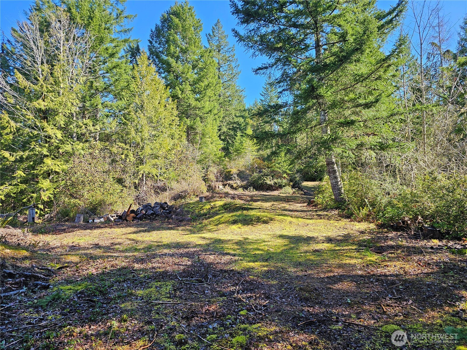 753 Jupiter Loop Property Photo 18