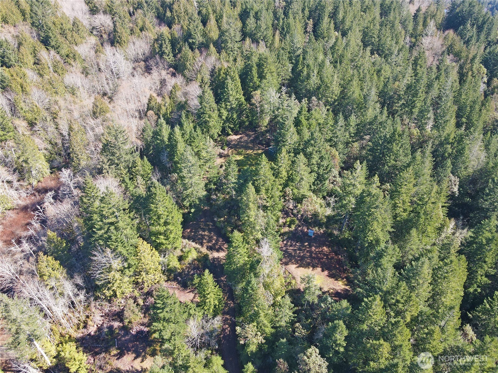 753 Jupiter Loop Property Photo 24