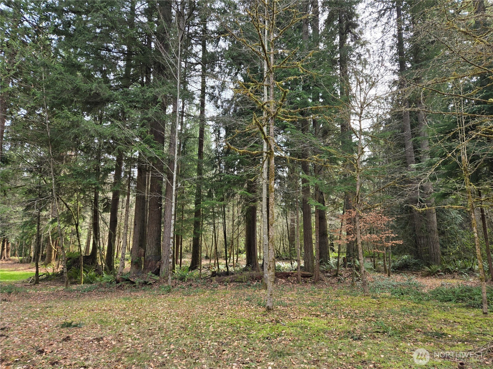 197 Xx 242nd Avenue Property Photo 29
