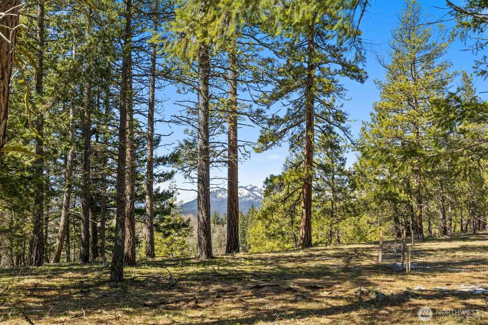 36 Wanawish Loop Property Photo 9