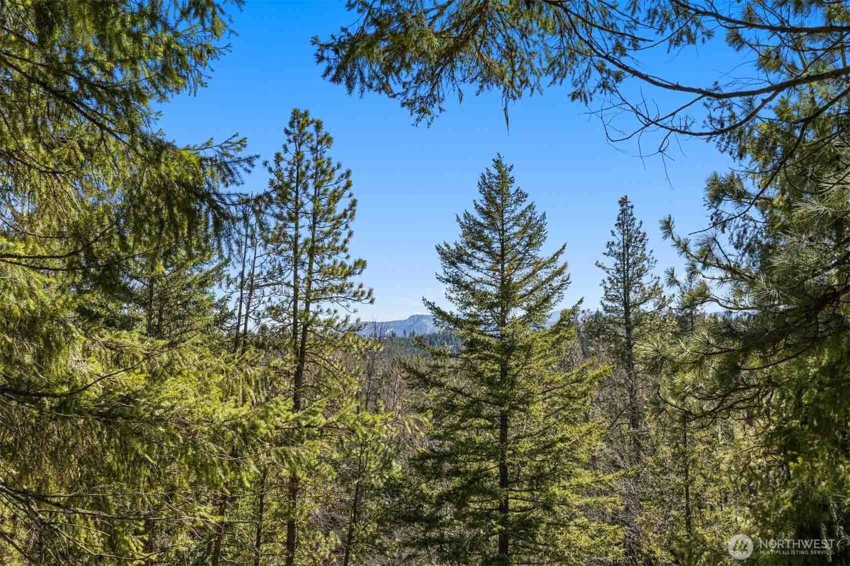 36 Wanawish Loop Property Photo 10