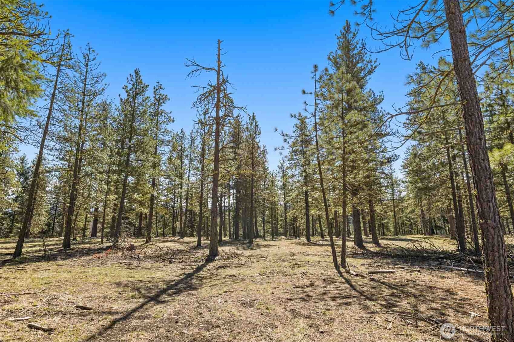 36 Wanawish Loop Property Photo 11