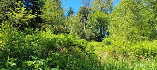 825 99th Avenue Property Photo 2
