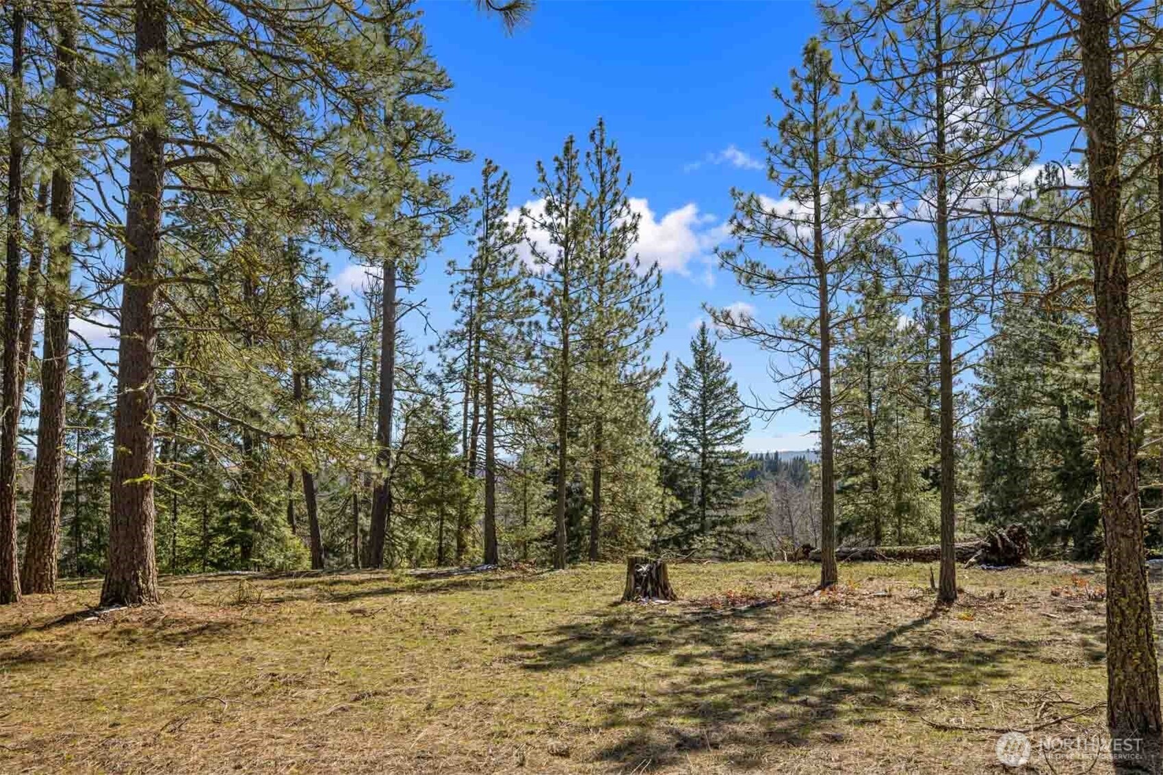 38 Wanawish Loop Property Photo 23