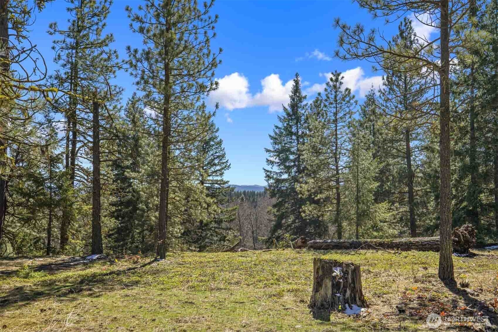 38 Wanawish Loop Property Photo 25