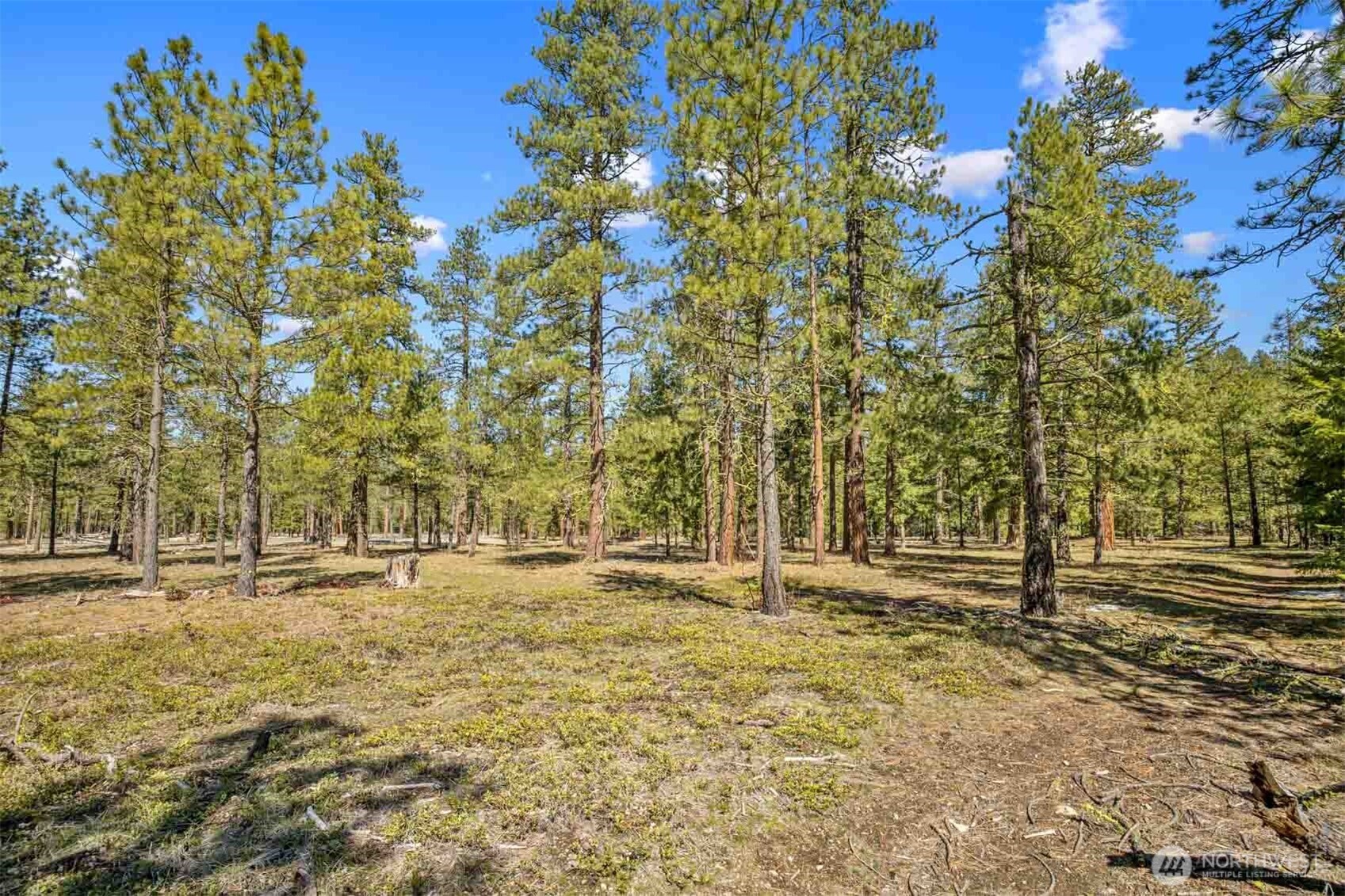 38 Wanawish Loop Property Photo 26